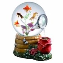 Honey_20rose_20magic_20globe_20fish_20aquarium_medium