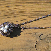 Nest_medium