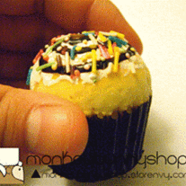 Mini Cupcake Squishy
