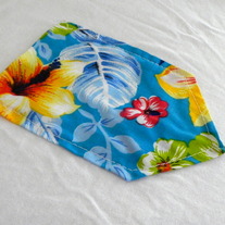 Hawaiian Pocket Punt T-Shirt