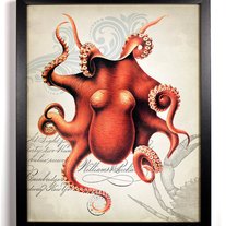 Image of Red Octopus Ephemera Antique Illustration 8 x 10 