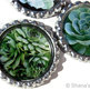 Succulents for your Fridge - Bottle Cap Magnet Set - Set of 5 - Thumbnail 2