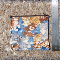 Kitten Pouch