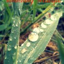 In every storm there is something beautiful 8x10 print