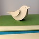 Brown_bird_3_small