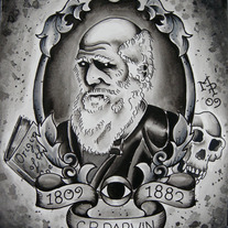 Darwin_web_medium