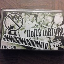 Noize torture / amnogomusikimalo split cs