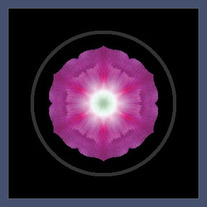 Morning Glory I