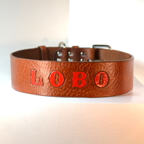 Onoma ~ 2" Width ~ Personalized Collar w. Color