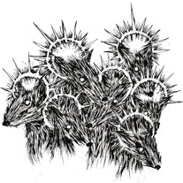 Yzordderrex: Plague of Cursed Vermin SRR017