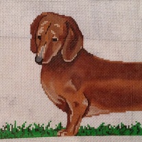 Two Part Dachshund Canvas on 13 mesh