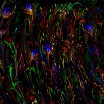 Flowers at night - digital art