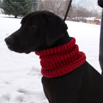 Grimmcowl1_medium