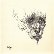 Drawing 0137
