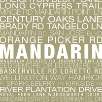 Mandarin Neighborhood Print
