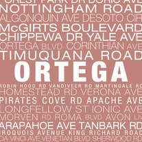 Ortega Neighborhood Print