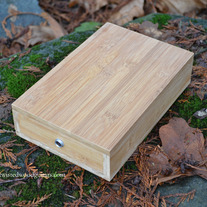 Stomp_20boxe_medium