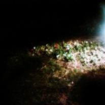 Outside_at_night_medium