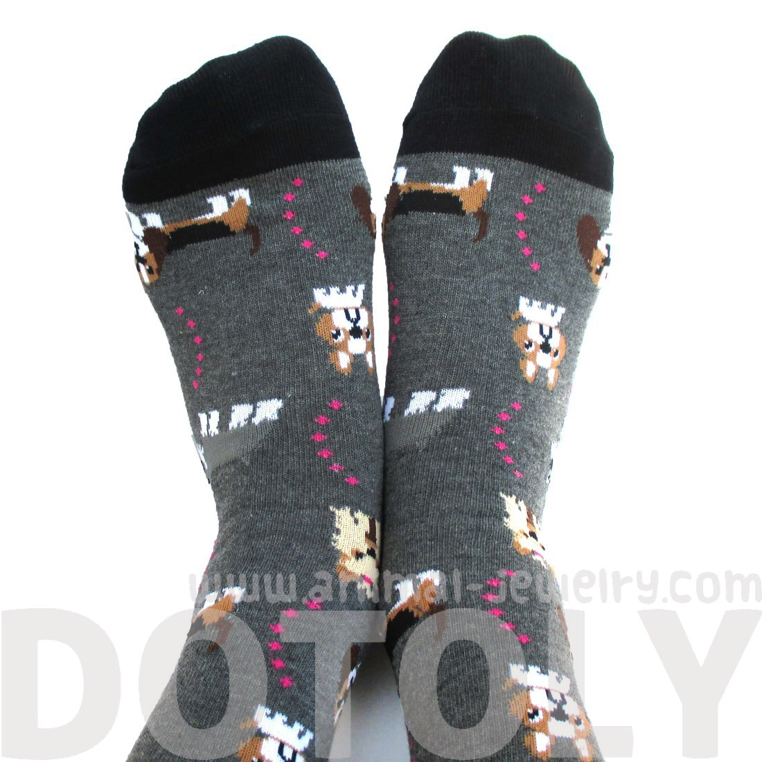 French Bulldog Cesky Yorkshire Terrier Basset Hound Novelty Dog Print