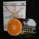Cutting-boards-full-color_small