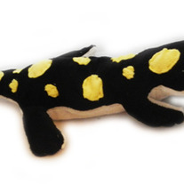 Spotted Salamander Plush (MTO)