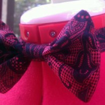 Bowtie_medium