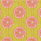 Dehlia_blooms_small