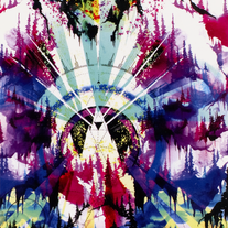 Magic of the Woods | Hannah Stouffer | Print