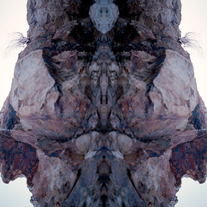Gatekeeper | Mike Selsky | Print