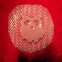 Owl resin mould