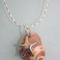 Costa_rica_starfish_sm_medium