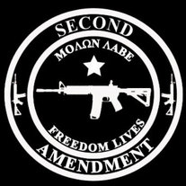 MLCCW Coin Logo Vinyl Decal