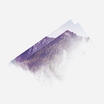 Architects_medium