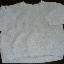 Gray Sweatshirt-Hanes Size 18 Months