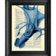 Squid_203_small