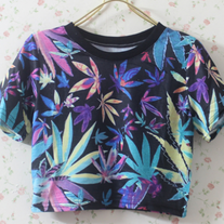 High Times Crop Top
