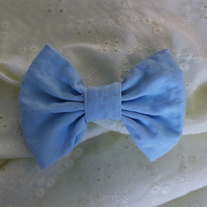 Pastel_20blue_medium