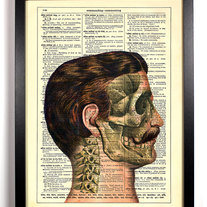 Image of Mustache Man Skull X-Ray, Vintage Dictionary Print, 8 x 10