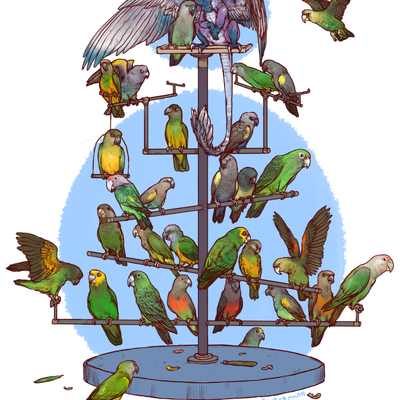 Hoard of poicephalus print