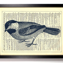 Image of Little Blueberry Bird, Vintage Dictionary Print, 8 x 10