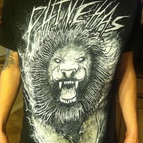 Lion Illustration