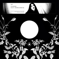 Trust - Bulbform