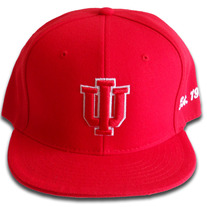 "Psi" Kappa Alpha Psi Sized Fitted Cap