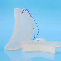 Ocean Hanging Air Freshener 