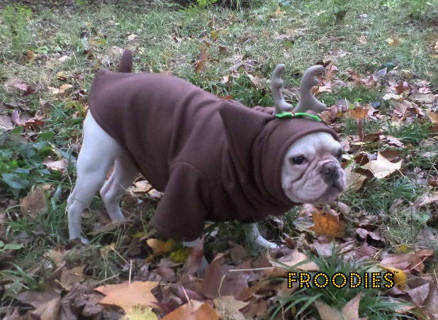 pug reindeer costume bulldog boston terrier pug froodies hoodies costume pug reindeer costume bulldog boston terrier pug froodies hoodies costume
