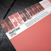 Vintage PANTONE® Poster - 177U