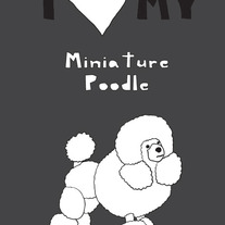 Miniature Poodle, 5x7 print