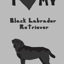 Black Labrador Retriever, 5x7 print