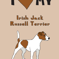 Irish Jack Russell Terrier, 5x7 print