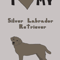 Silver Labrador Retriever, 5x7 print